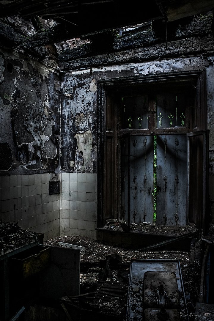 The Forgotten Ashes – Fine Art Digital File product image (1)