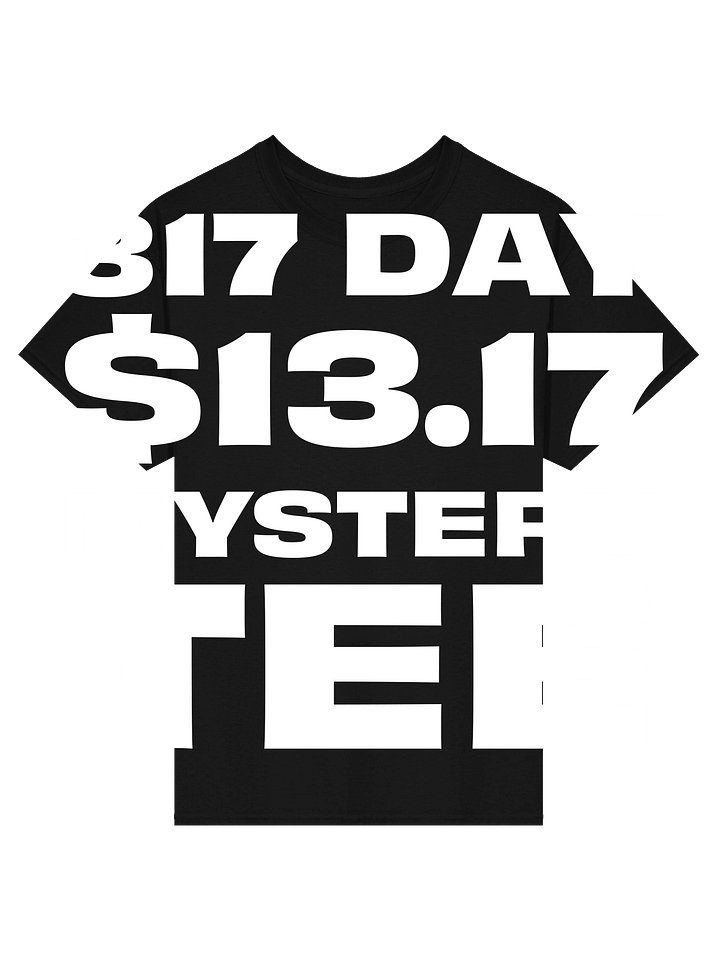 317 Day Mystery Tee product image (1)