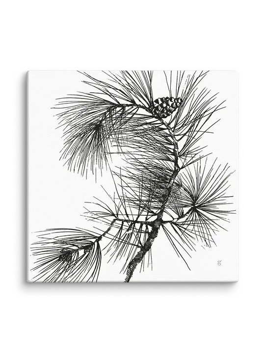 Blank Canvas Collection - Pine Branch product image (2)