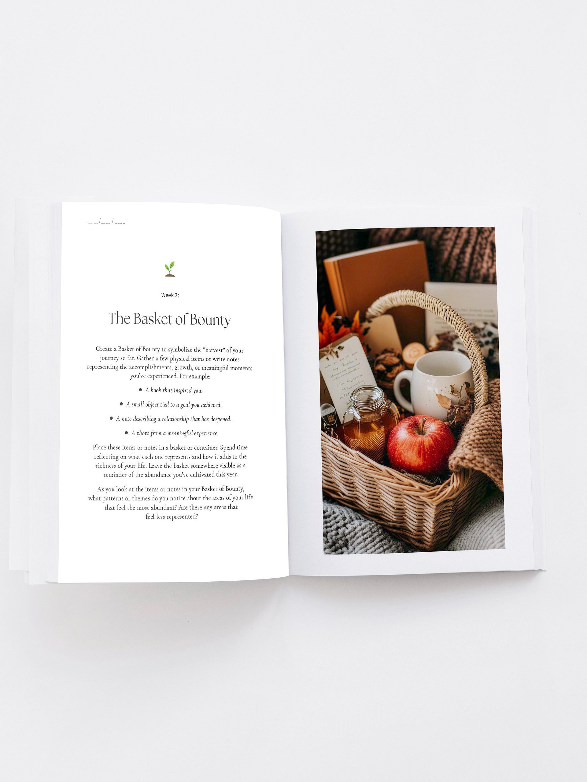 The Seasons Within product image (5)