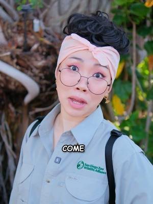 Asian mom was a Zookeeper Pt. 2 #asian #zoo #sandiegozoo #animals #momlife Thank you so much to @sandiegozoo !