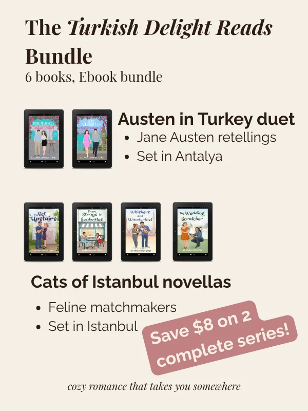 Turkish Delight Reads (6 Book Bundle) product image (2)