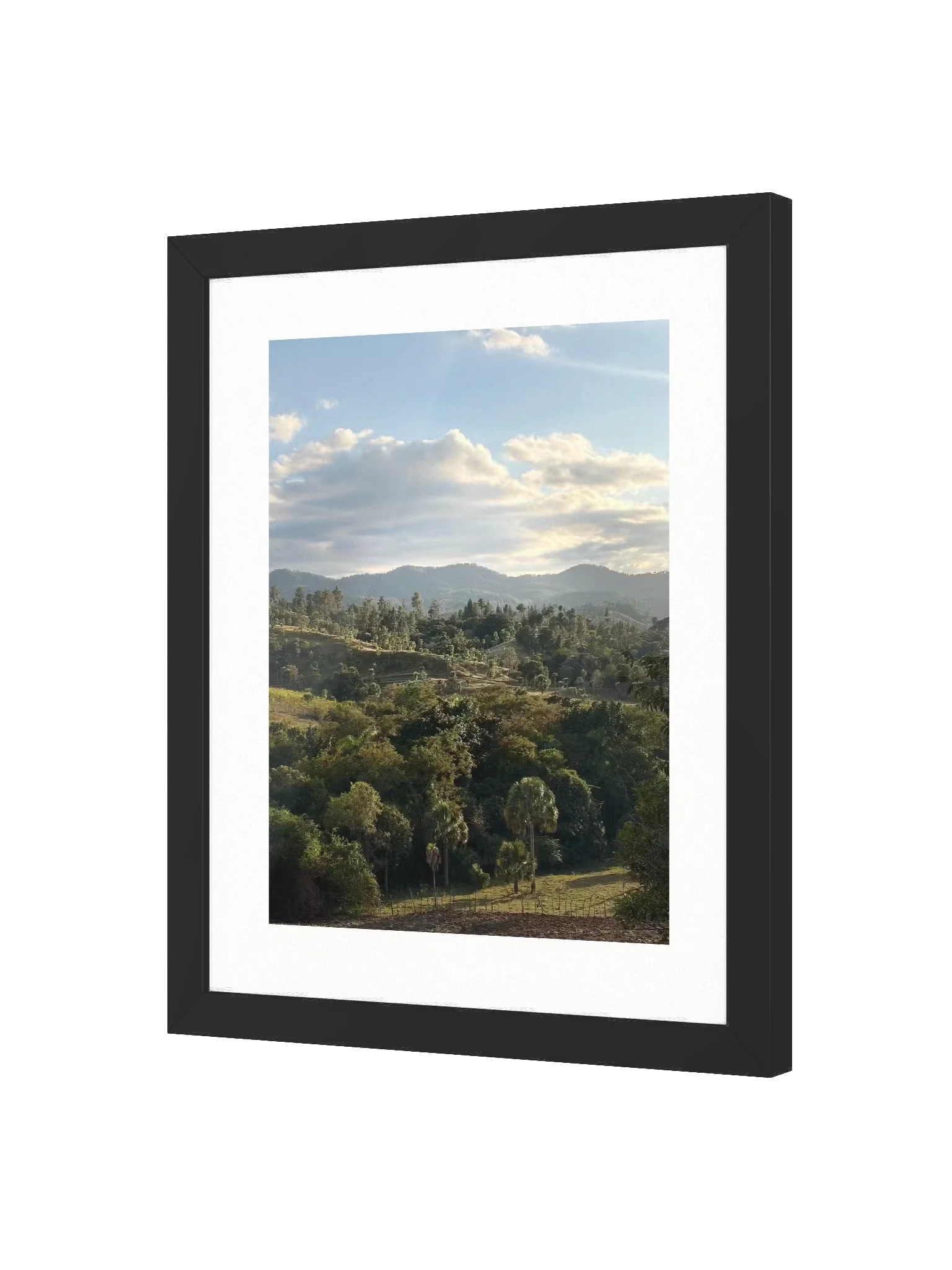 Hills and Palm Tree Framed Art Print product image (6)