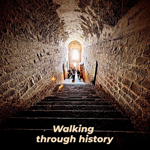 Walking through Hsitory