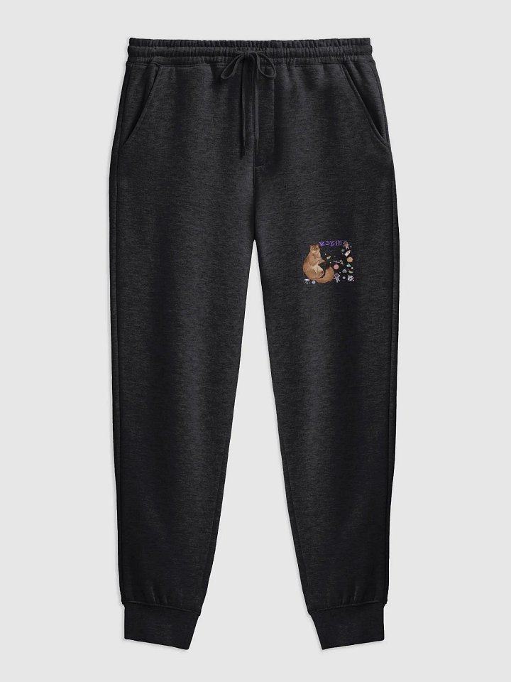 Christopher Spaceman Sweatpants product image (3)