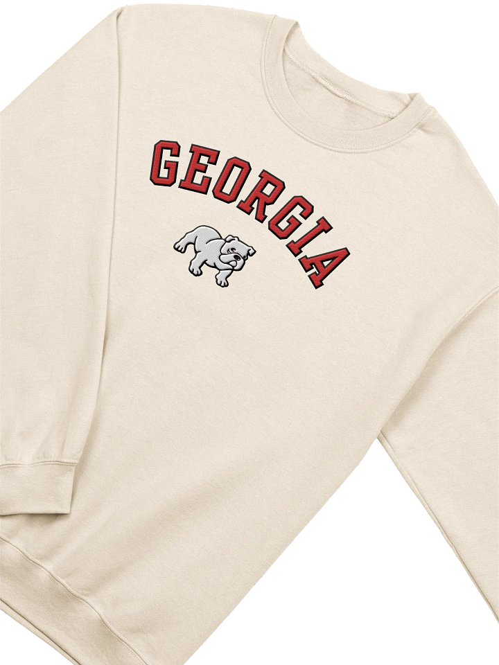 Embroidered Georgia Sweatshirt product image (6)