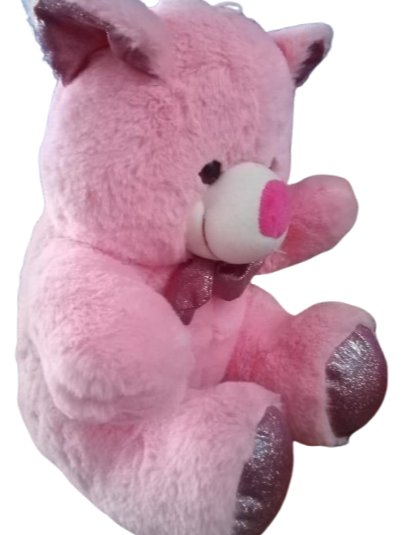 TEDDY BEAR product image (2)