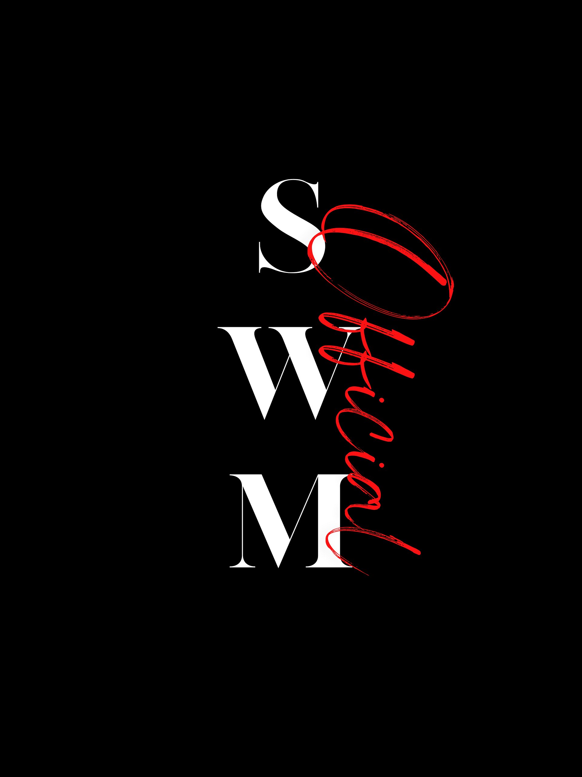 SWM Classic Hoodie - Dark product image (4)