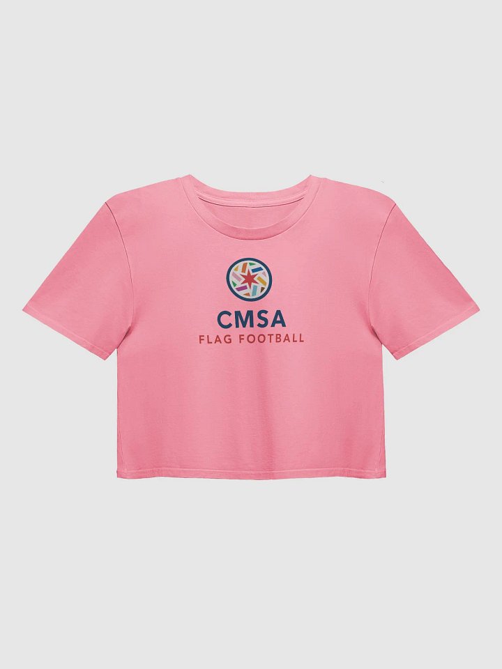 Short Sleeve Crop Top product image (2)