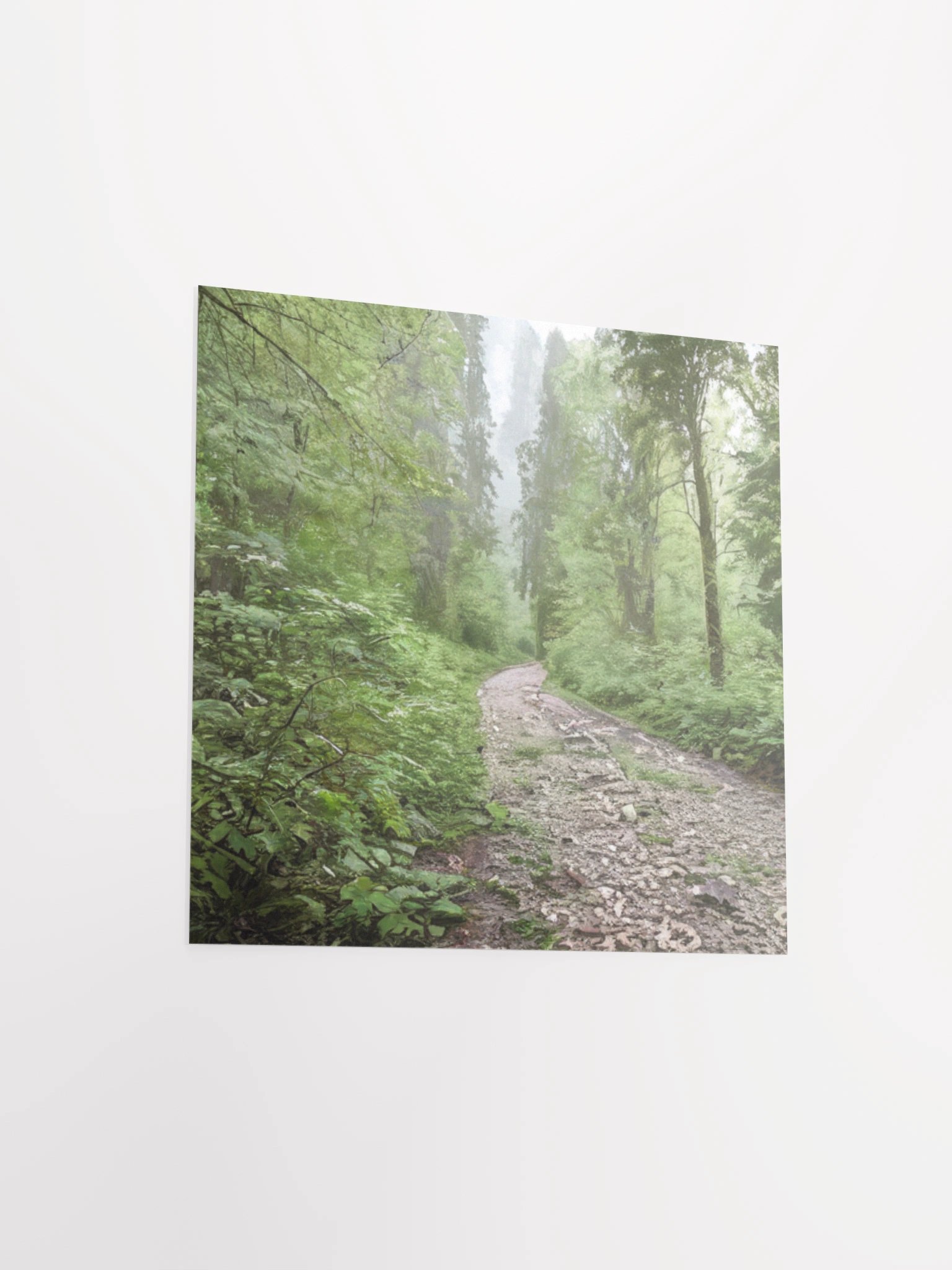 Enchanted Forest Path Poster product image (12)