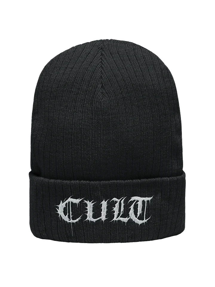cult beanie product image (1)