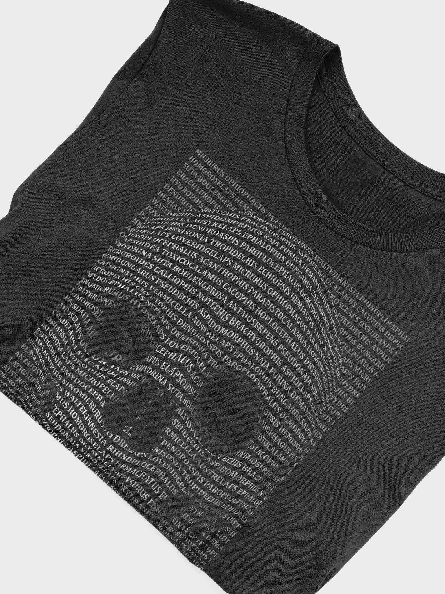 Elapids Skull Tee product image (13)