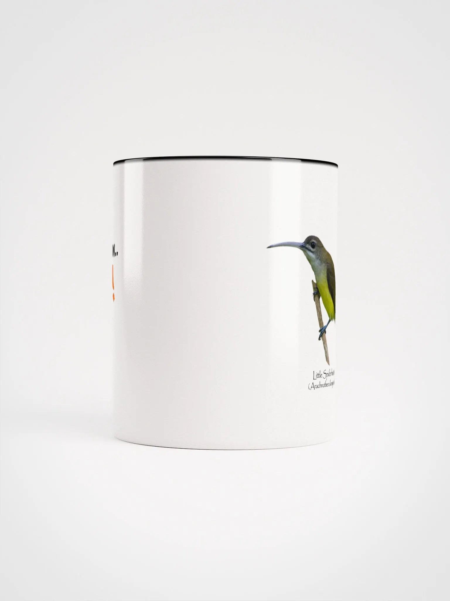 Little Spiderhunter mug product image (47)