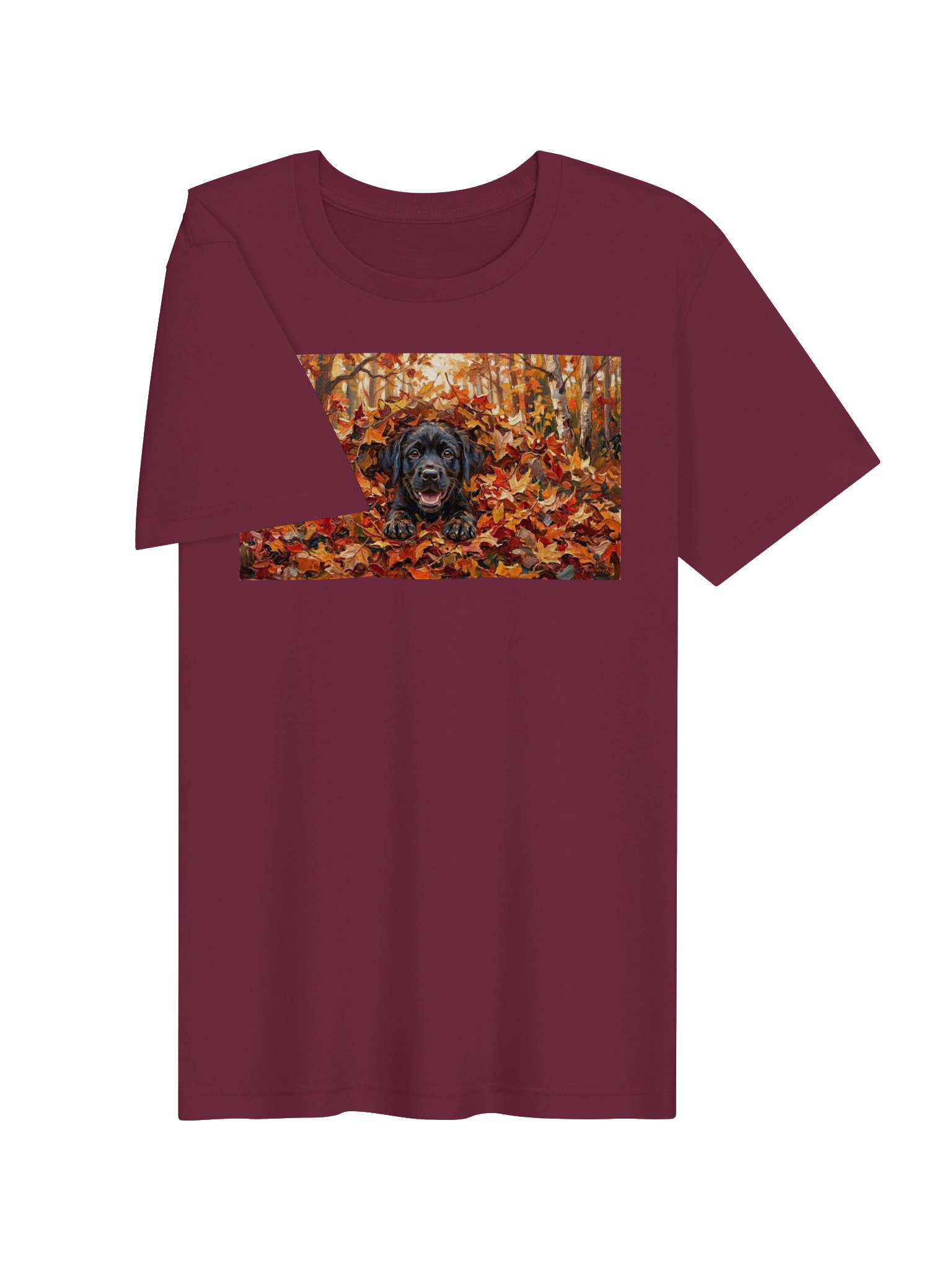 Salt & Harvest Collection | Autumn Lab product image (3)