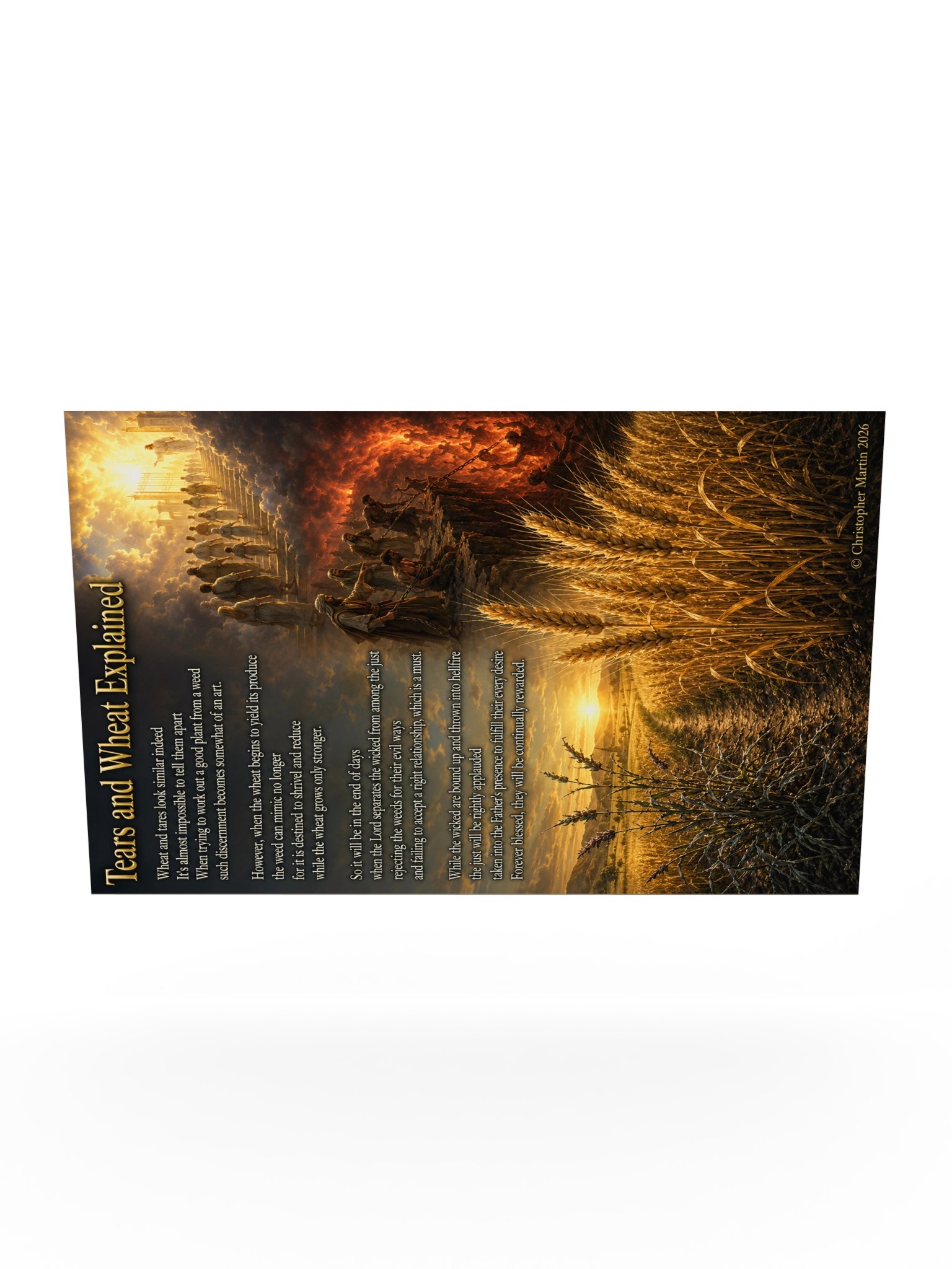 Tares and wheat explained product image (10)