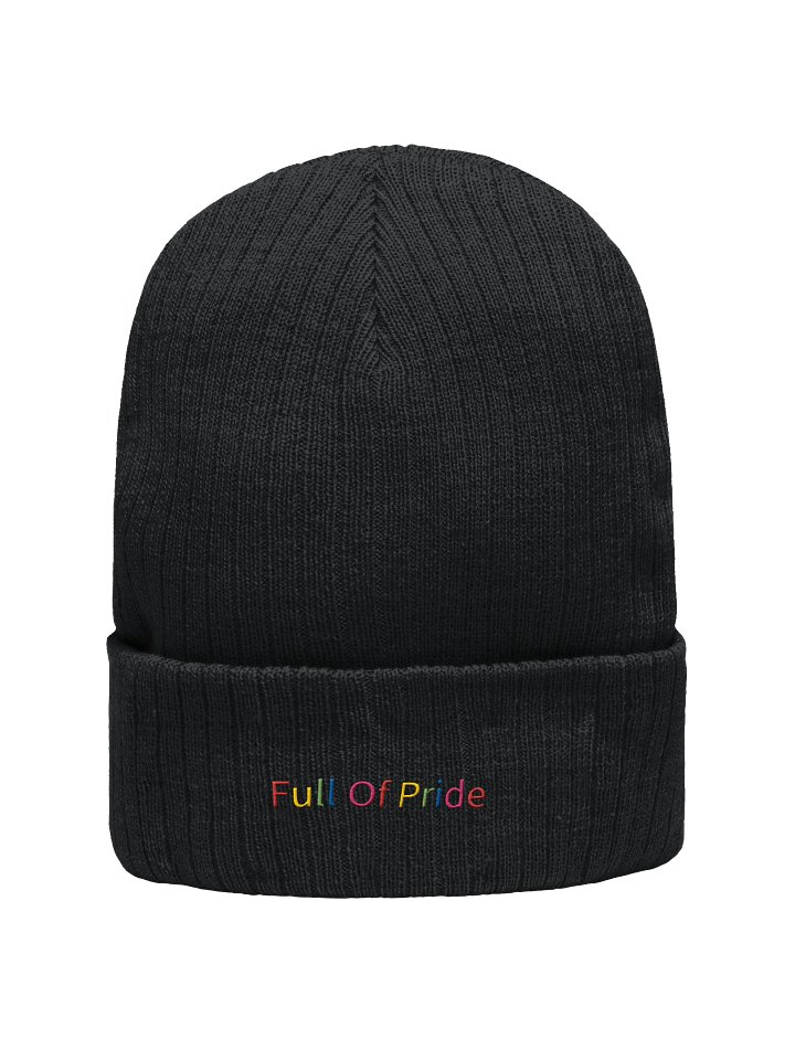 Full Of Pride Beanie product image (2)