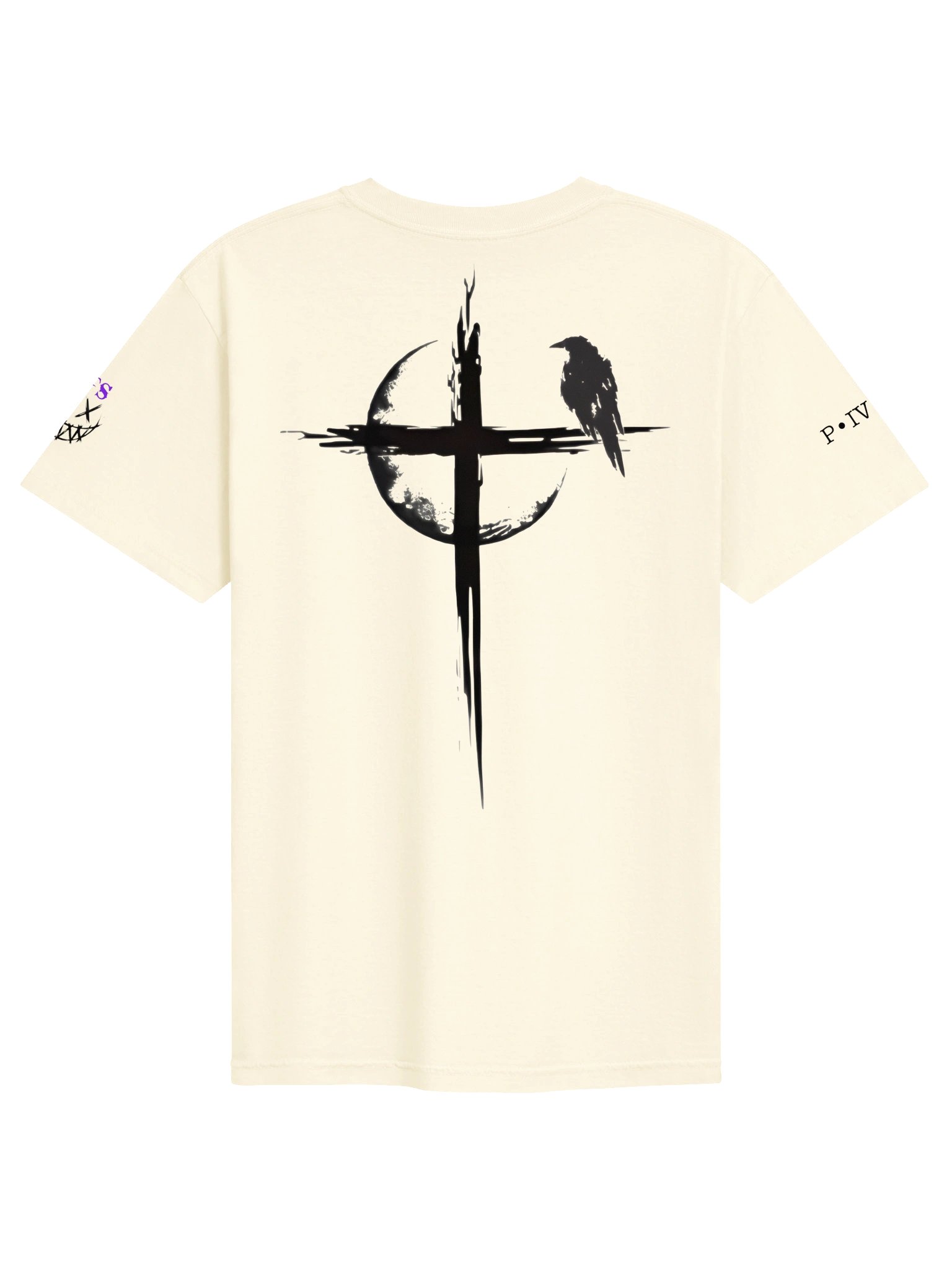 Philippians 4:13 LFS T Shirt drop product image (2)