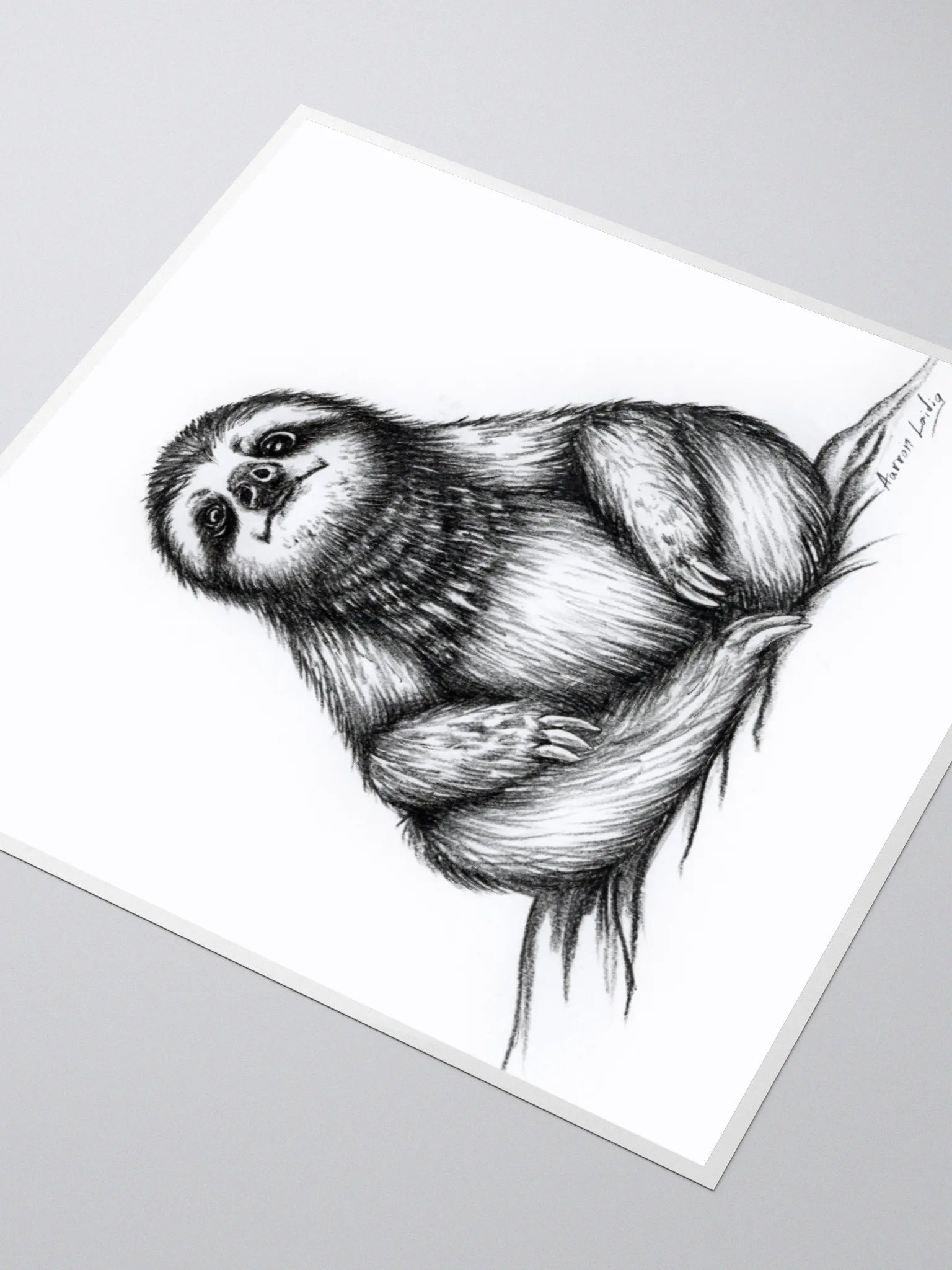 Stoic Meditation Sloth Vinyl sticker product image (7)