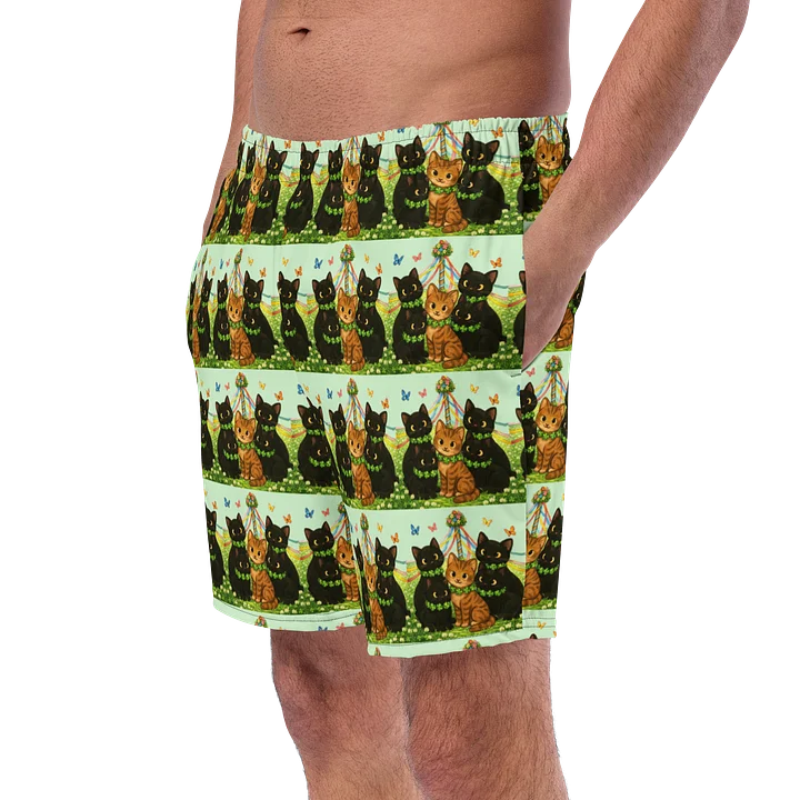 Cat brigade spring Swim Shorts product image (2)