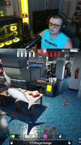 Guckscht du diese unter Fisch^^ | #majoramigogaming auf #Twitch #mecchachameleon