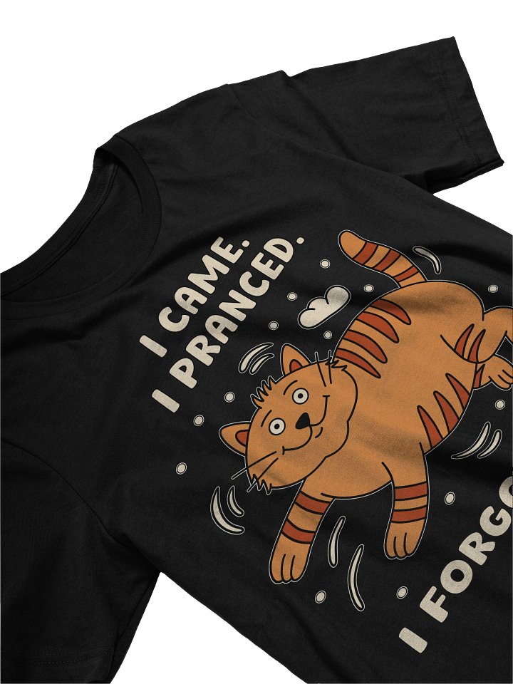 I Came. I Pranced. I Forgot Why. Cat Unisex T-shirt product image (2)