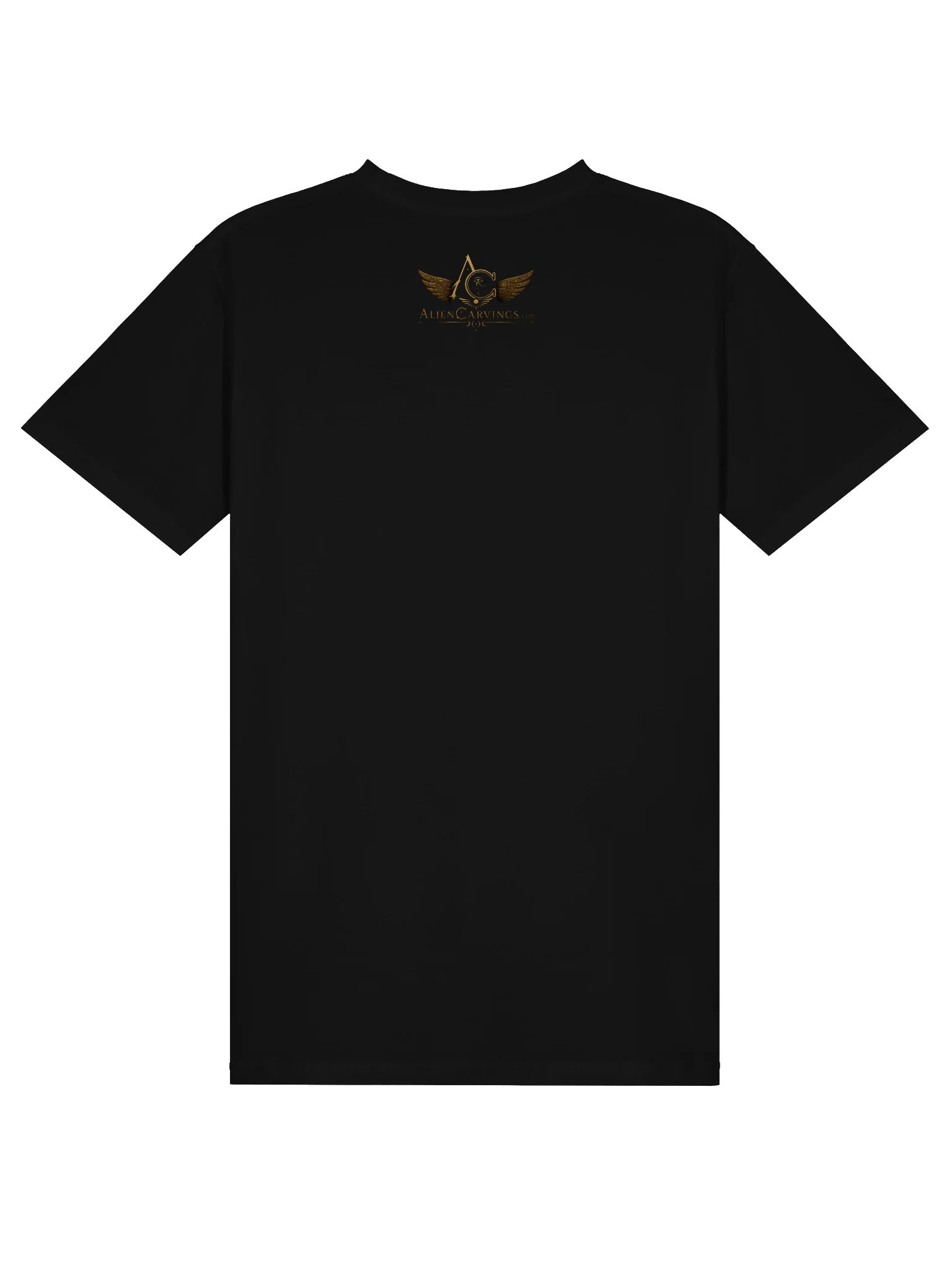Aliencarvings DNA Project T-Shirt product image (2)