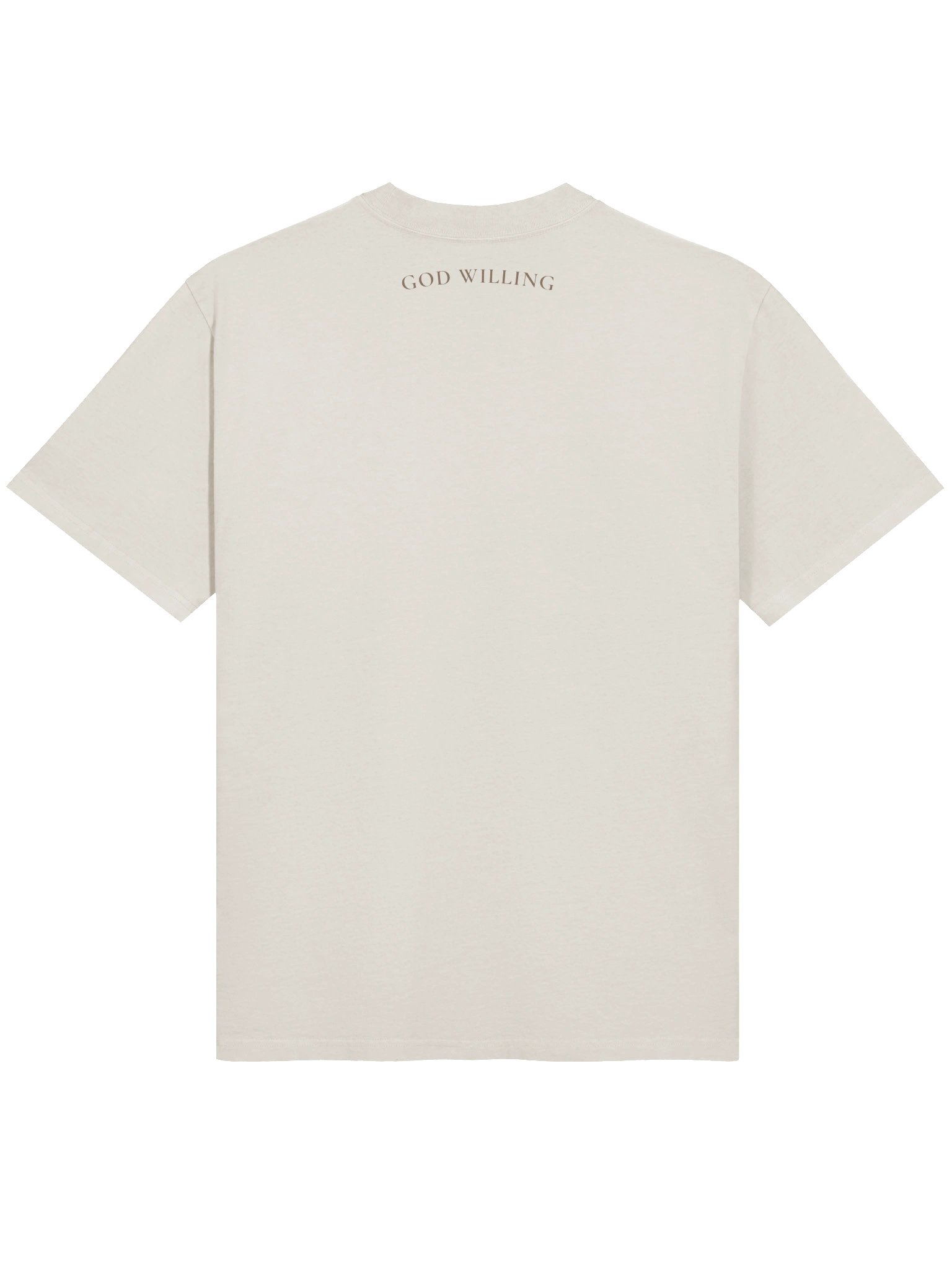 In the Wilderness Oversized Tee product image (3)
