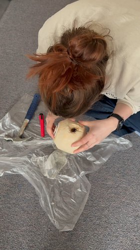Big Coconut is out to get us. Also, we started a patreon:  patreon.com/cw/PickleHour