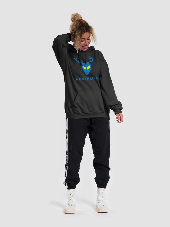 Northling™ New Year's '26 Midnight Glow Logo Hoodie product image (2)
