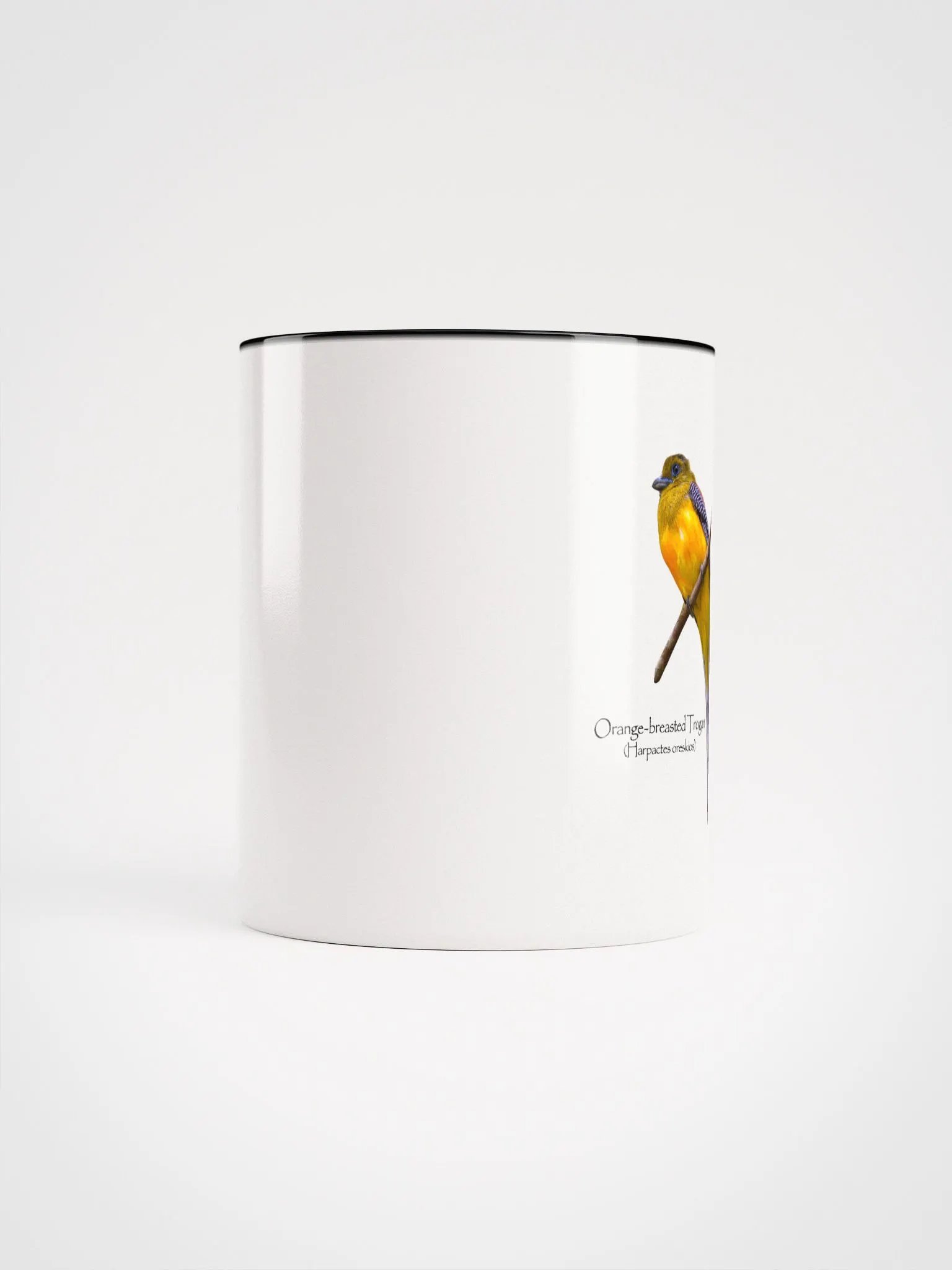 Orange-breasted Trogan mug product image (43)