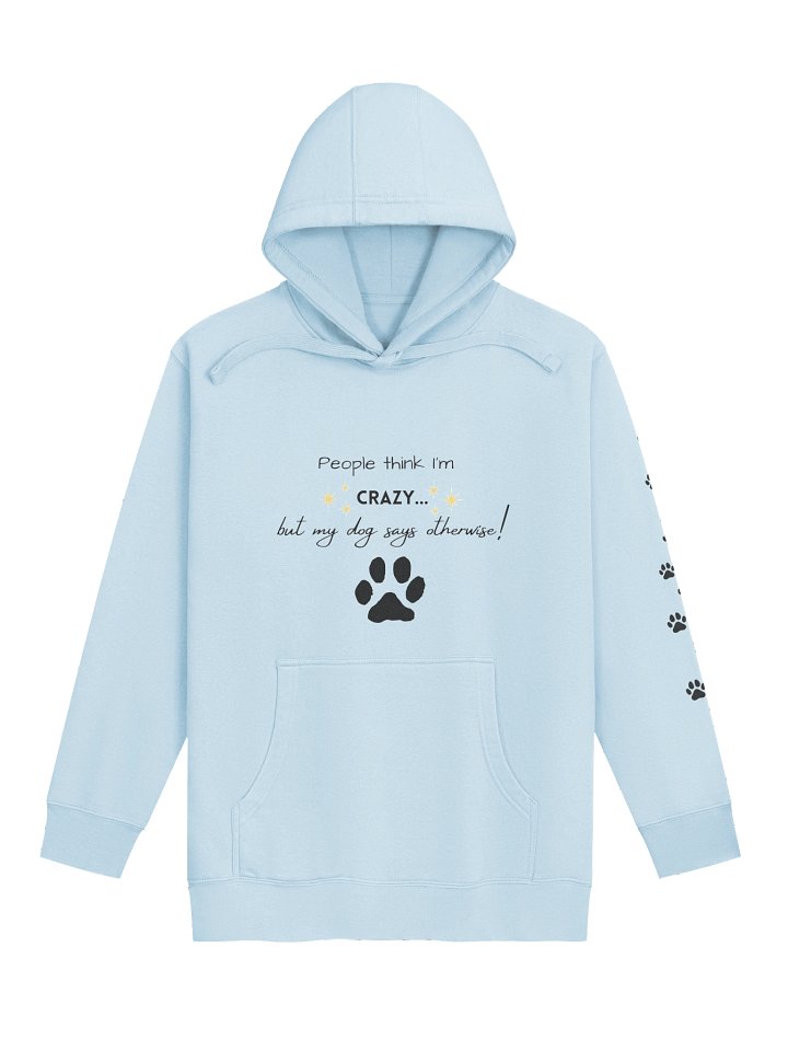People Think I'm Crazy Hoodie product image (1)