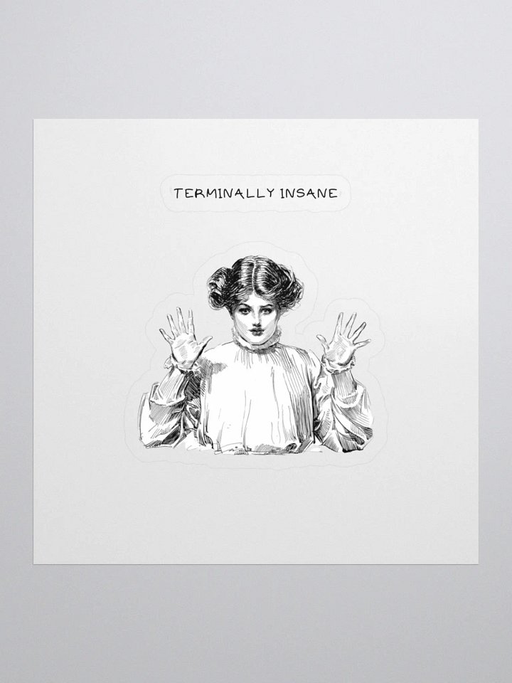 Terminally Insane product image (1)