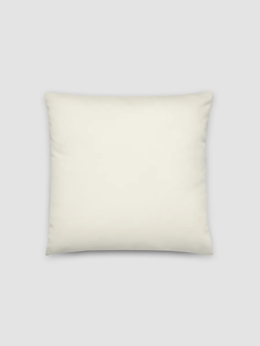 The Chipola Evening Pillow product image (3)