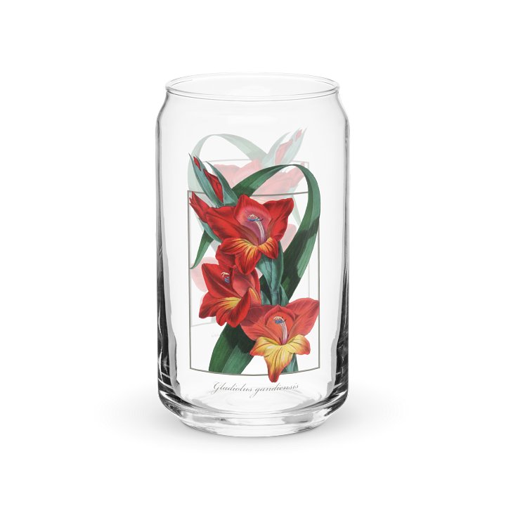 Gladiolus Gandiensis Flower Glass product image (1)