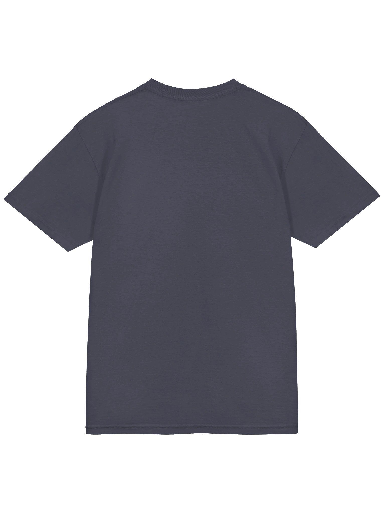 Roofin' It Shirt product image (16)