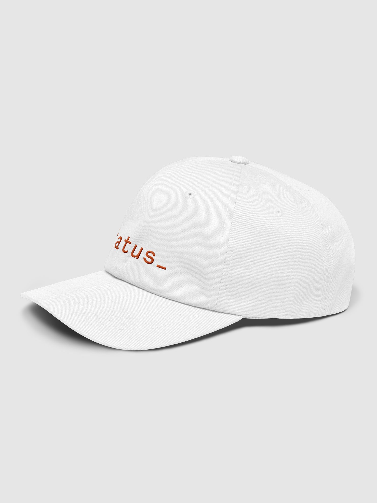 The Status Cap (Orange Logo) product image (3)