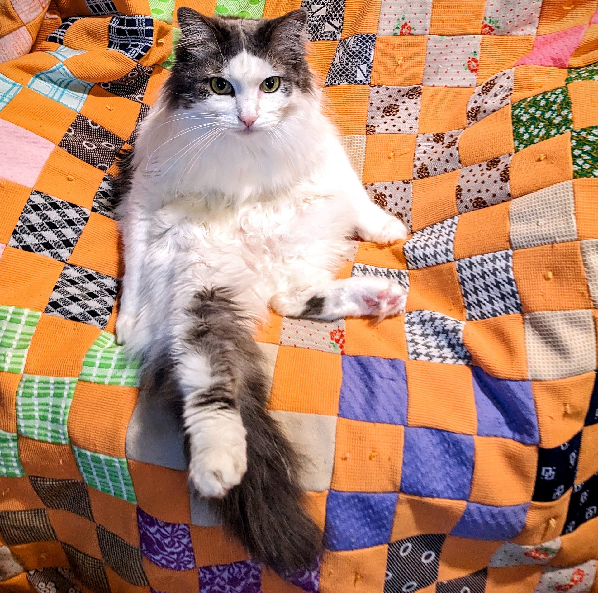 Clean Spirit: A cooperative tabletop RPG for 3-5 people product image (7)