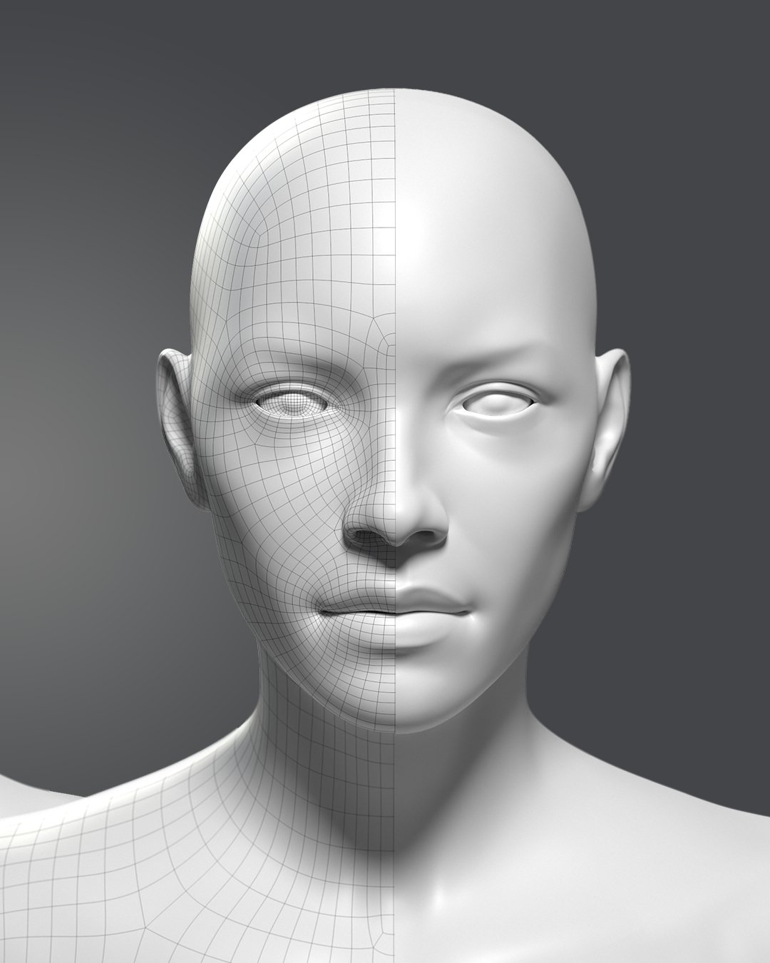 Basemesh Kit product image (4)