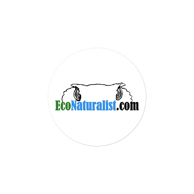 Stickers & Accessories