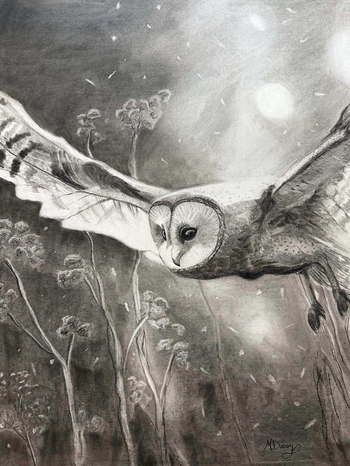 Owl product image (1)