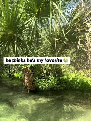 he thinks he’s my favorite 😭💦 that’s cute. meanwhile i’ve got people driving 2 hours, skipping work, and planning whole weekends around me 💅💦 florida springs really do have a roster. #floridasprings  #parktok #floridalife #kingslanding #thewetterthebetter 
