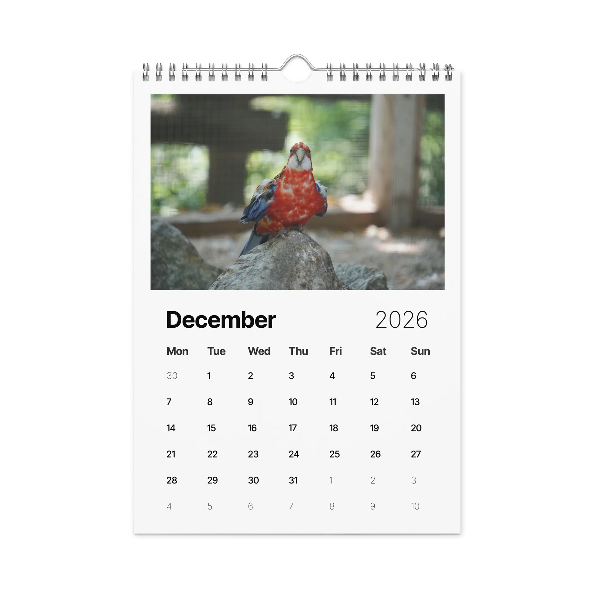 One Year, Twelve Animals: ESE 2026 Wall Calendar product image (4)