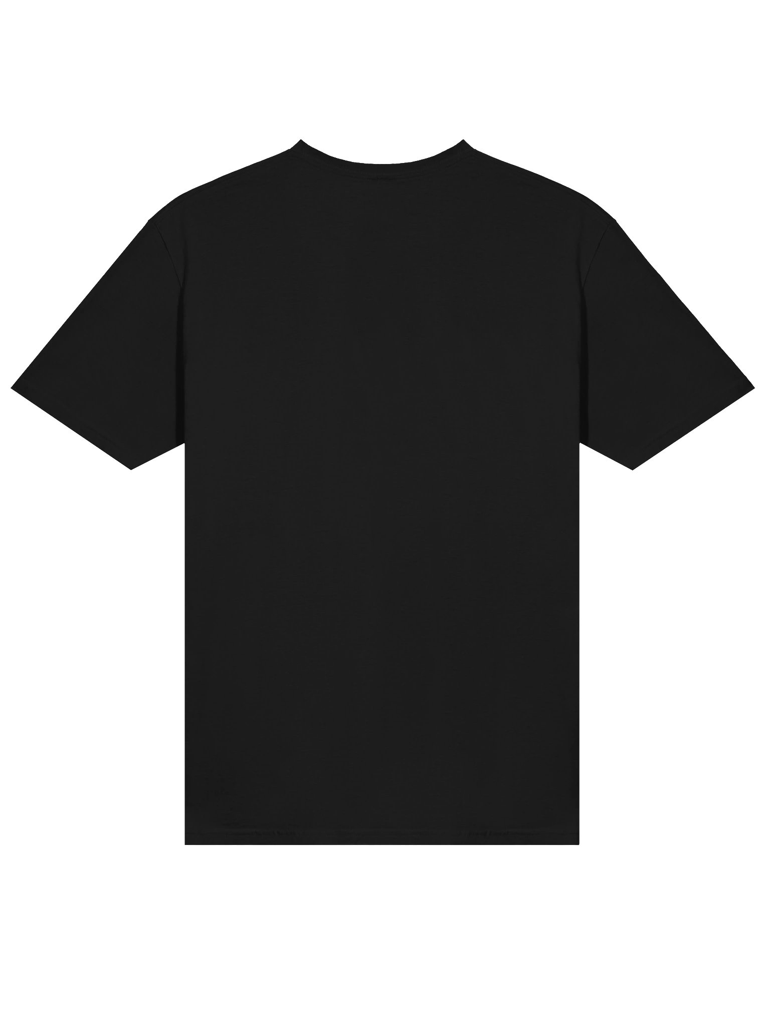 Standard T-Shirt product image (4)