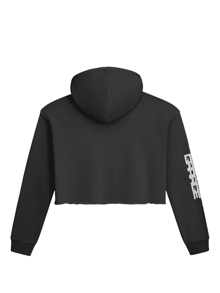 Be Gay, Drive Electric CropTop Hoodie product image (4)