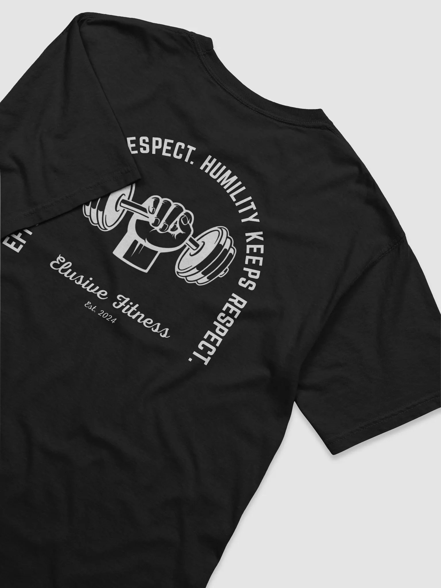 Respected Heavyweight T-Shirt product image (3)