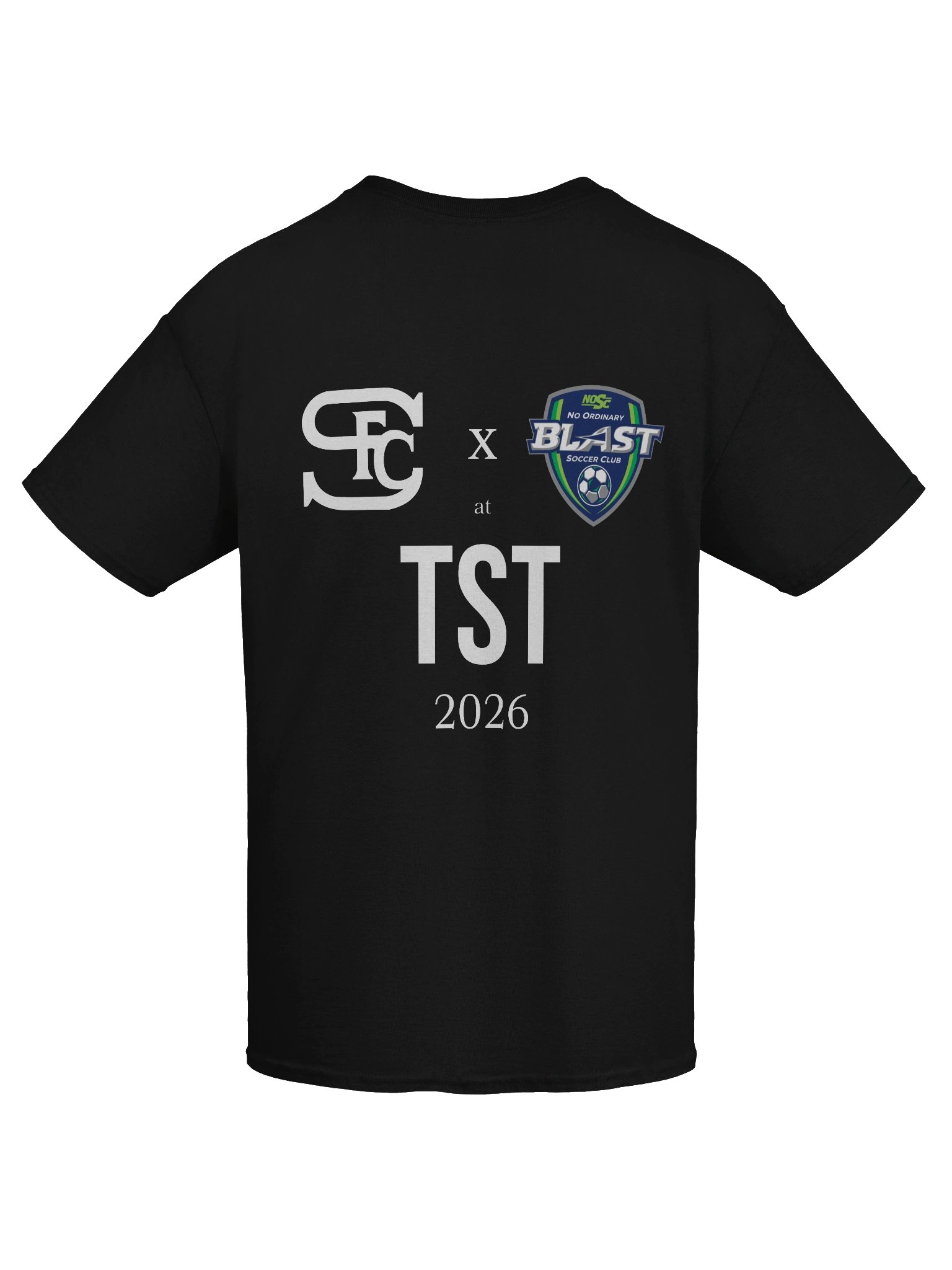 The ARC x TST T-Shirt product image (44)