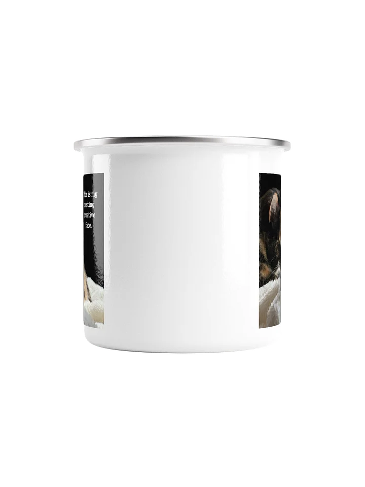 This is my resting creative face. silver rim mug product image (2)