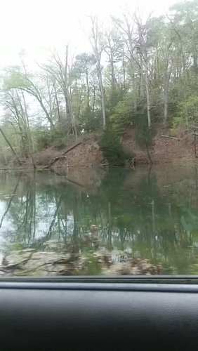 This beautiful world