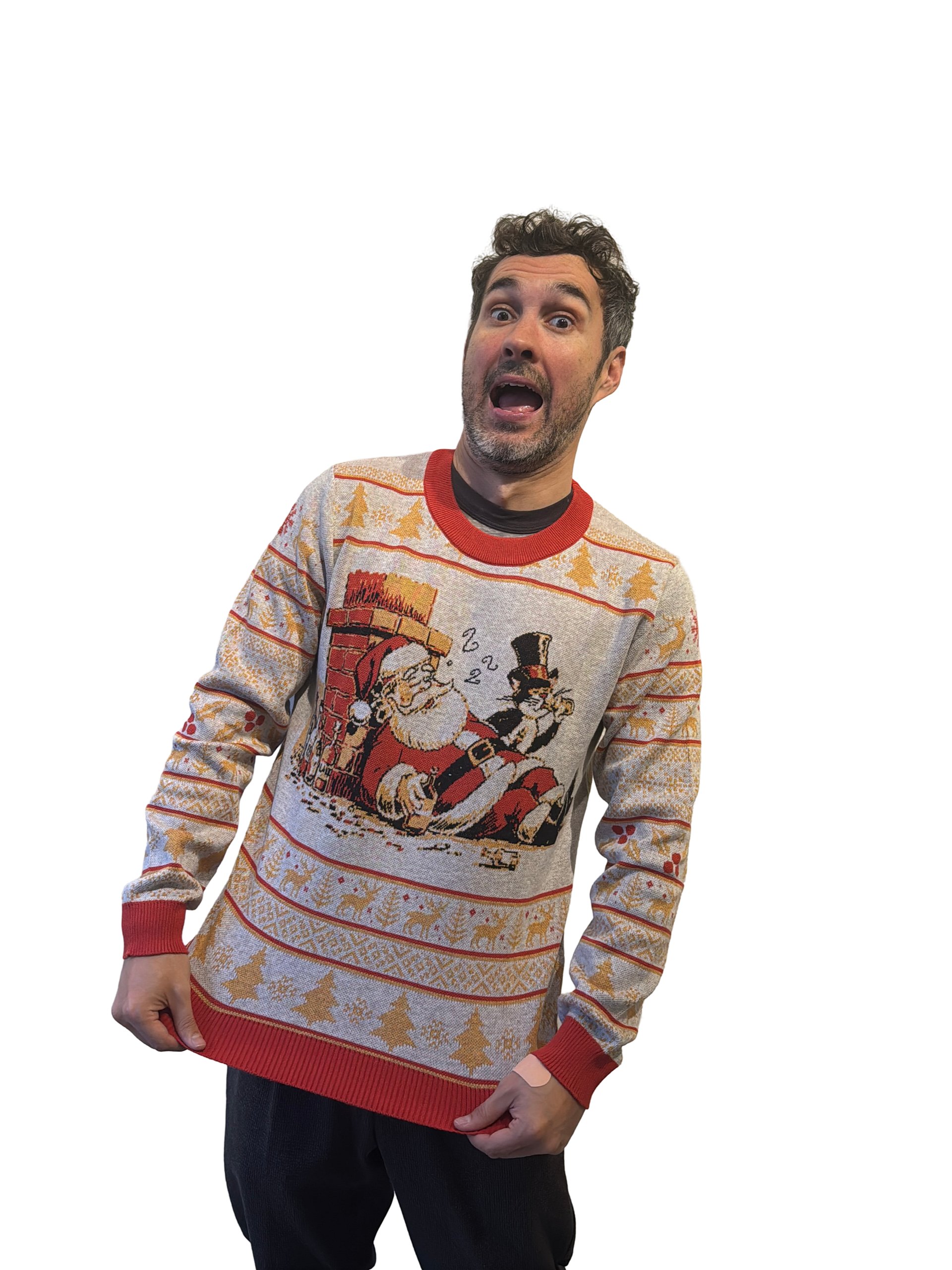 Santa Cat 2 product image (1)