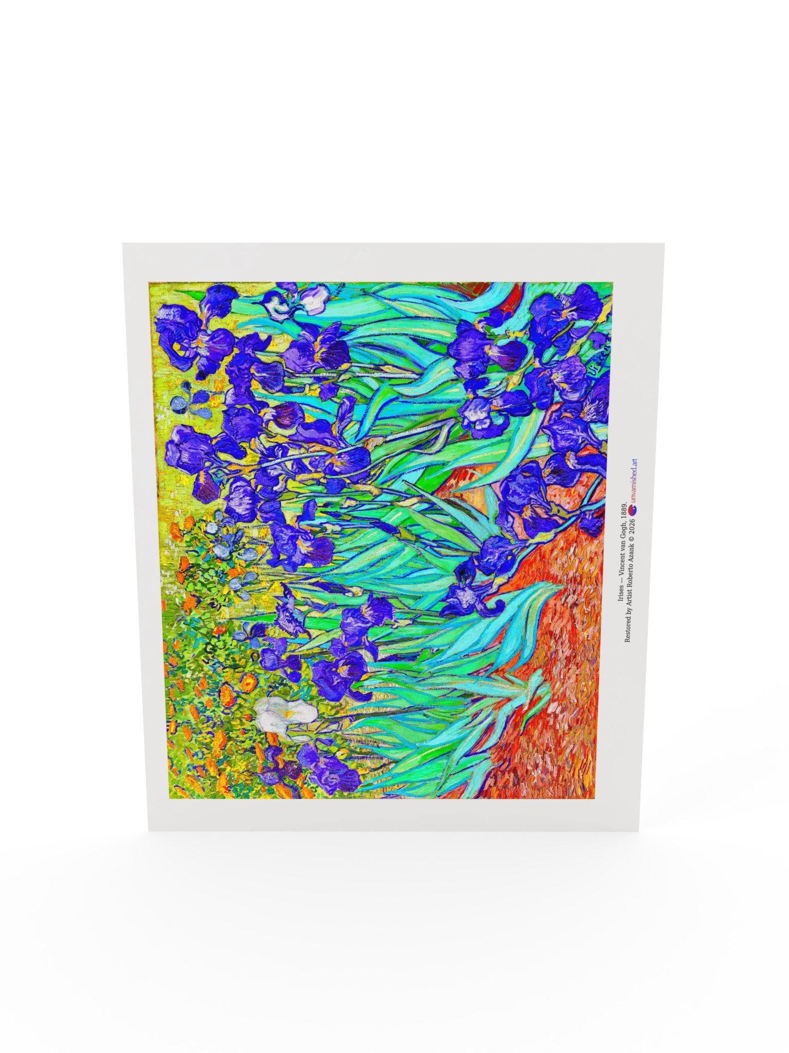 Irises — Poster product image (19)